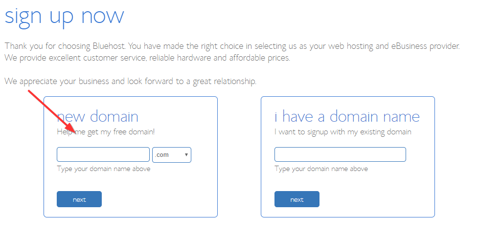 bluehost domain selection